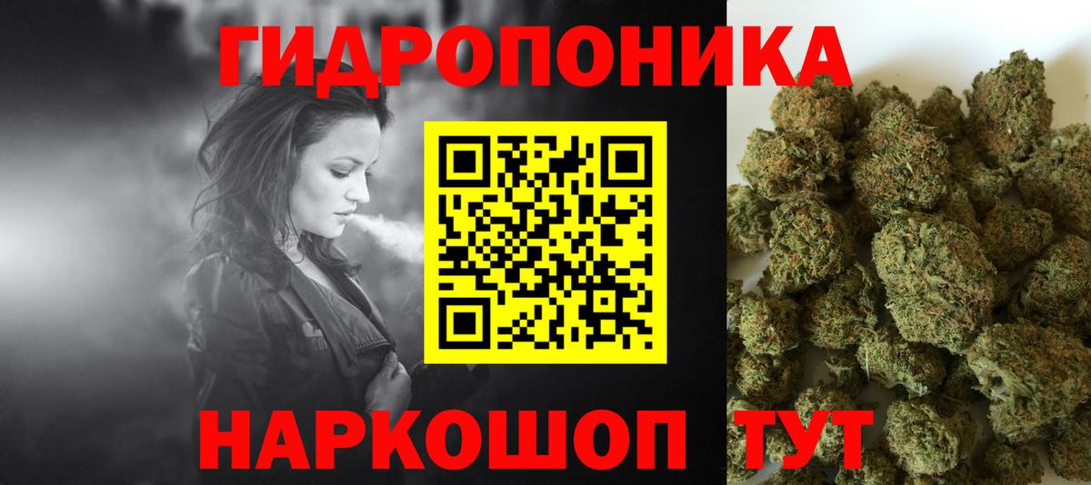 Конопля White Widow  МАРИХУАНА гибрид  Бошки Шишки ГИДРОПОН  Вход с VPN  Бошки Шишки White Widow  Грязи 
